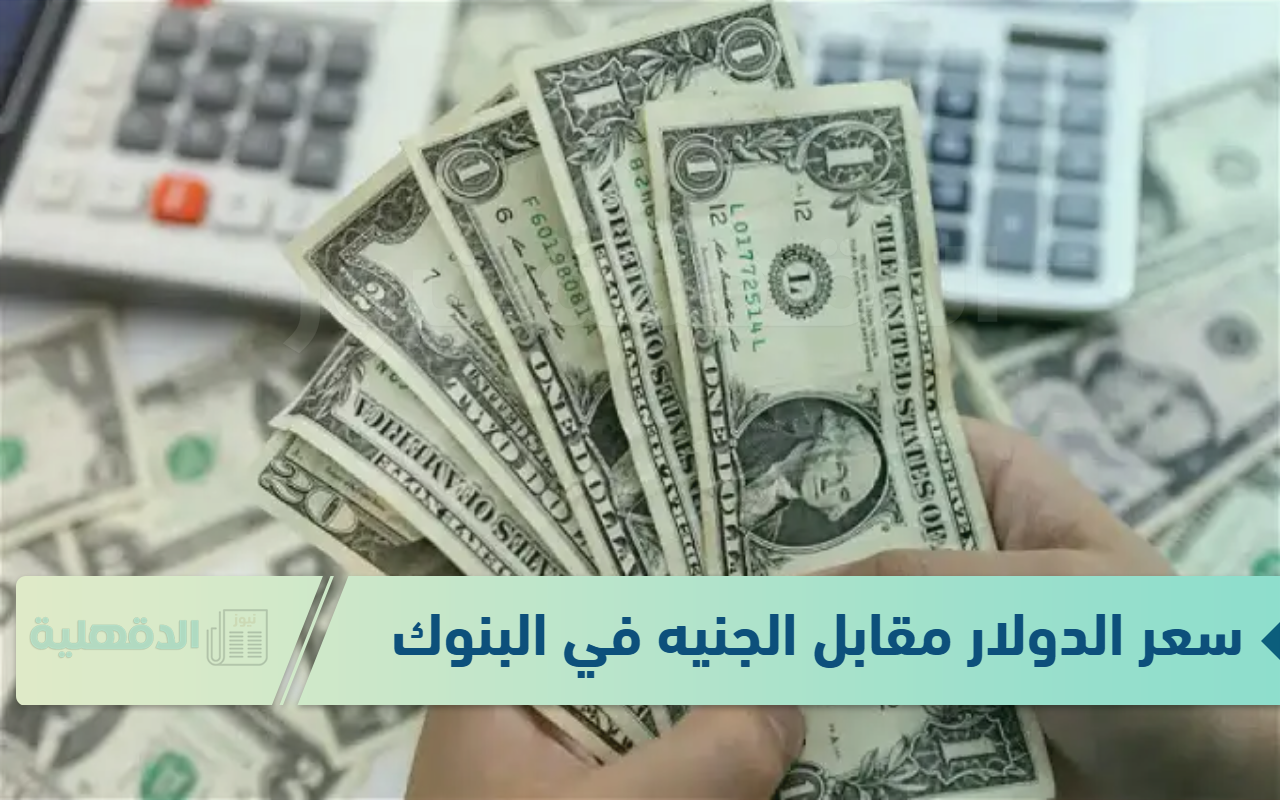 سعر الدولار مقابل الجنيه في البنوك اليوم 16 – 1- 2025 .. الجنية المصري يصمد امام الدولار