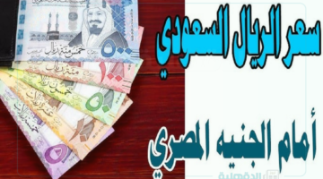 "بأخر تحديث" .. سعر الريال السعودي مقابل الجنيه المصري اليوم في السوق الموازي وكافة البنوك