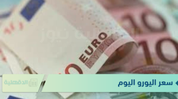 سعر اليورو اليوم الاثنين 20 يناير 2025 في البنوك المصرية والسوق السوداء