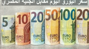 تراجع سعر اليورو اليوم الخميس 30 يناير 2025 للمستهلك مقابل الجنيه المصري في السوق السوداء وبعض البنوك