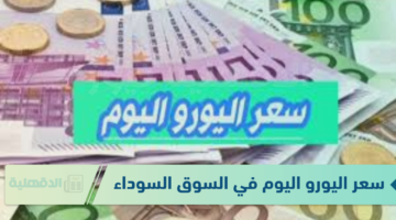 سعر اليورو اليوم في السوق السوداء الاربعاء الموافق 22 يناير 2025 وفق آخر تحديث صادر لقيمتي البيع والشراء