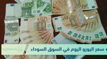 سعر اليورو اليوم في السوق السوداء والبنوك العاملة في مصر لحظة بلحظة