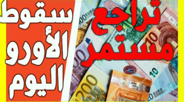 "تباين بيع وشراء" سعر اليورو اليوم في مصر الأربعاء 29 يناير 2025 في السوق السوداء والبنوك المصرية