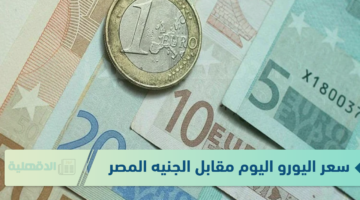سعر اليورو اليوم مقابل الجنيه المصري الثلاثاء الموافق 21 يناير 2025 وفق آخر تحديث صادر عن البنوك والسوق السوداء