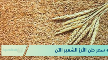 استقرار في سعر طن الأرز الشعير الآن الثلاثاء الموافق 21 يناير 2025 في الاسواق والمضارب