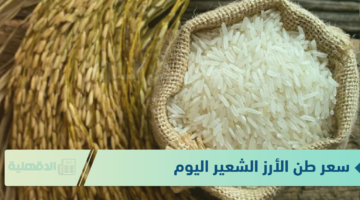 سعر طن الأرز الشعير اليوم الثلاثاء 21 يناير 2025 للمستهلك بجميع الأسواق المحلية