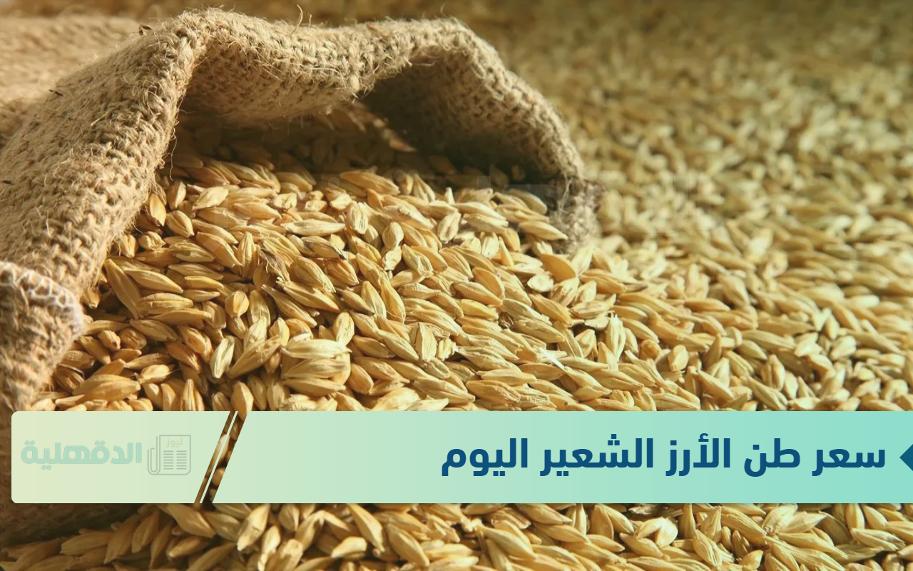 سعر طن الأرز الشعير اليوم الخميس الموافق 23 يناير 2025 للمستهلكين في الاسواق والمضارب