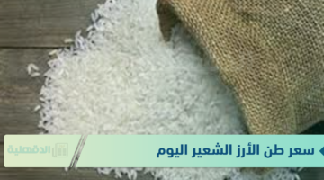 سعر طن الأرز الشعير اليوم الاحد 19-1-2025 للمستهلك وأسعار السلع الأساسية بالاسواق