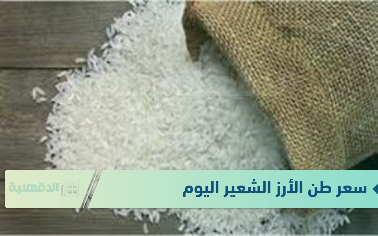 سعر طن الأرز الشعير اليوم الاحد 19-1-2025 للمستهلك وأسعار السلع الأساسية بالاسواق