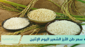 استقرار سعر طن الأرز الشعير اليوم الإثنين 13 من يناير 2025 "أخر تحديث للأسعار"