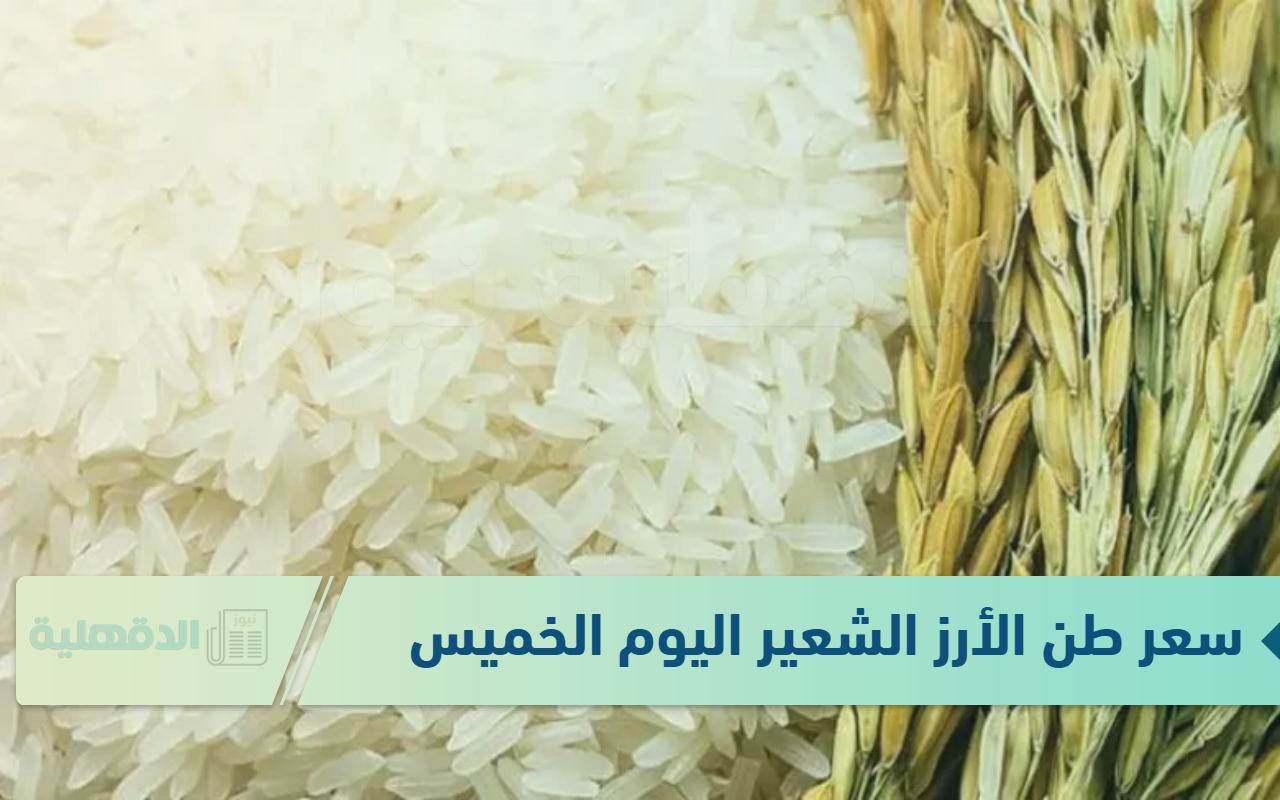 الحبة الرفيعة والحبة العريضة .. سعر طن الأرز الشعير اليوم الخميس 16-1-2025
