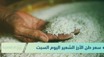 الحبة الرفيعة والحبة العريضة "سعر طن الأرز الشعير اليوم السبت" 17-1-2025