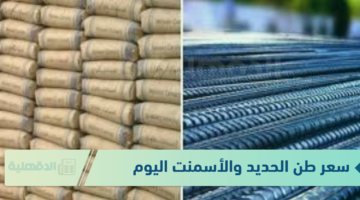 "مواد البناء".. سعر طن الحديد والأسمنت اليوم الأثنين 20-1-2025 بجميع الشركات والمصانع