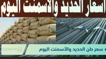 سعر طن الحديد والأسمنت اليوم الاحد 19 يناير 2025 للمستهلك في المصانع والشركات
