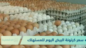 استقرار سعر كرتونة البيض اليوم للمستهلك الثلاثاء الموافق 21 يناير 2025 في المزارع والبورصة