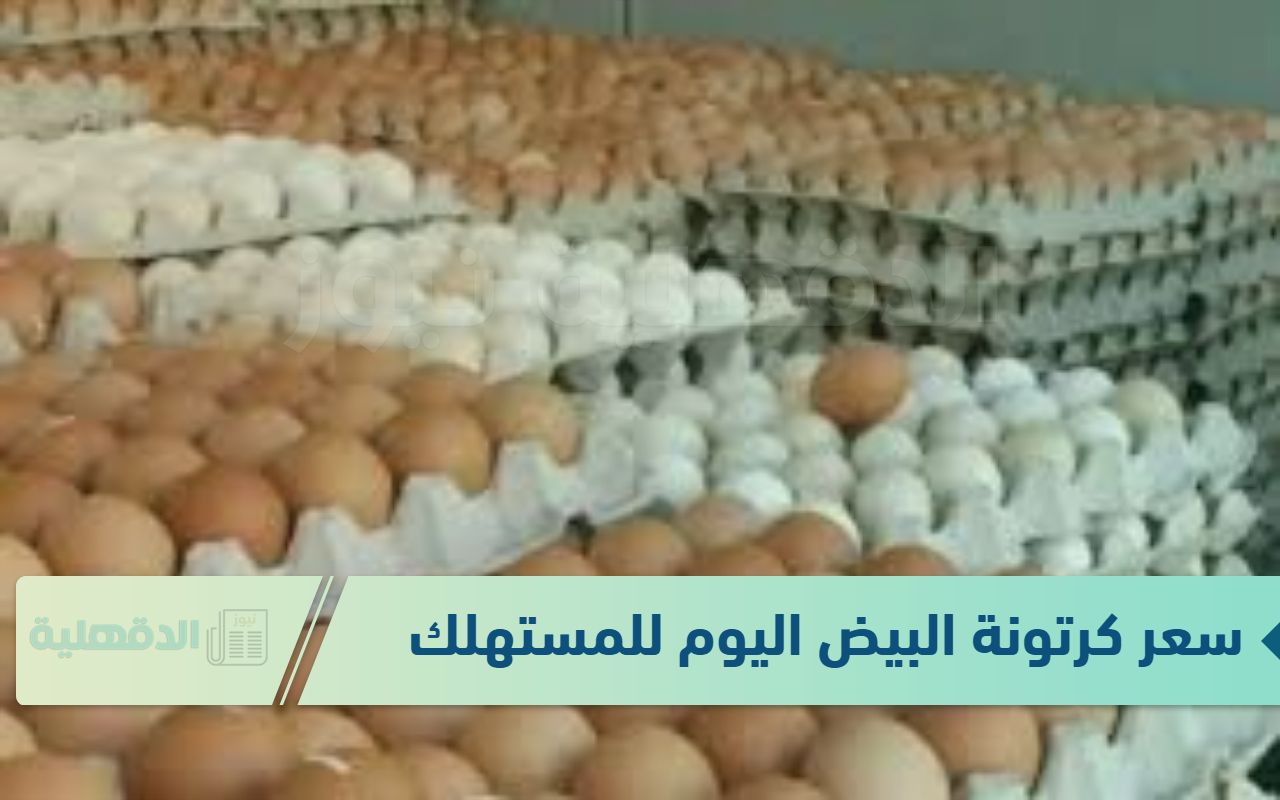 استقرار سعر كرتونة البيض اليوم للمستهلك الثلاثاء الموافق 21 يناير 2025 في المزارع والبورصة