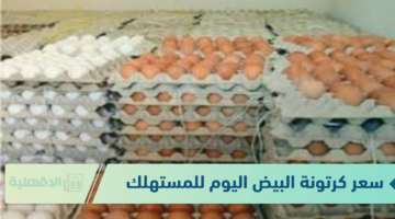 سعر كرتونة البيض اليوم للمستهلك الاربعاء الموافق 22 يناير 2025 في المزارع والبورصة