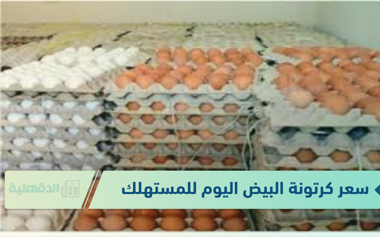 سعر كرتونة البيض اليوم للمستهلك الاربعاء الموافق 22 يناير 2025 في المزارع والبورصة