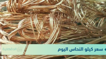 الخرده النهاردة.. سعر كيلو النحاس اليوم الأربعاء 8 يناير 2025 في الأسواق المصرية