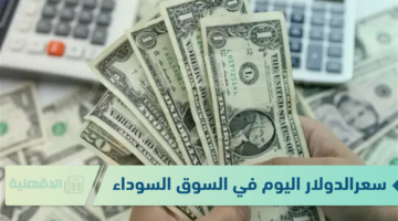 الأخضر طاير .. سعر الدولار اليوم في السوق السوداء 13 يناير 2025