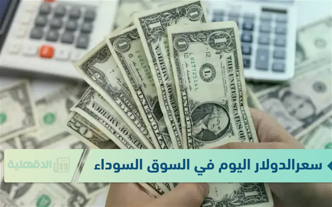 الأخضر طاير .. سعر الدولار اليوم في السوق السوداء 13 يناير 2025