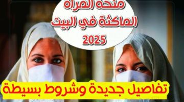 شروط التقديم على منحة المرأة الماكثة في البيت.. وفقا لتصريحات الوكالة الوطنية للتشغيل