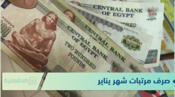 تبكير صرف مرتبات شهر يناير 2025 لجميع العاملين بالدولة بعد بيان المالية