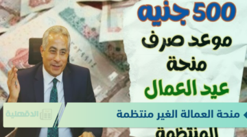 منحة العمالة الغير منتظمة من خلال رابط موقع وزارة العمل الرسمي manpower.gov.eg