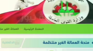 "هتاخد 1000 جنية بالبطاقة" طريقة التسجيل فى منحة العمالة الغير منتظمة والشروط المطلوبة
