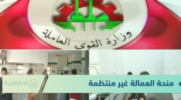 لجميع المستفيدين.. موعد صرف منحة العمالة غير المنتظمة وخطوات التسجيل بالمنحة