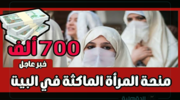  الوكالة الوطنية للتشغيل توضح.. تفاصيل منحة المرأة الماكثة في البيت بالجزائر