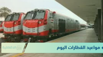 جدول مواعيد القطارات اليوم الخميس 23 يناير 2025 على جميع الخطوط في كافة المحافظات
