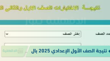 قبل إعلانها رسميا.. نتيجة الصف الأول الإعدادي 2025 بالدرجات ورابط الاستعلام عبر eduserv.cairo.gov.eg