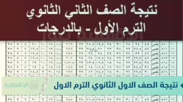 نتيجة الصف الاول الثانوي الترم الاول 2025 بالاسم ورقم الجلوس من الموقع الرسمي