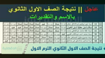 فور إعلانها رسميًا .. نتيجة الصف الاول الثانوي الترم الاول 2025 ورابط الاستعلام عبر eduserv.cairo.gov.eg