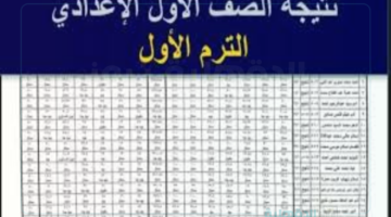 مبروك النجاح.. رابط الاستعلام عن نتيجة الصف الاول والثاني الاعدادي 2025 الترم الأول "محافظة الجيزة"