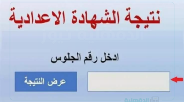 بالخطوات... نتيجة الصف الثالث الاعدادي برقم الجلوس وبالاسم عبر eduserv.cairo.gov.eg وكيفية توزيع الدرجات