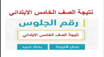 نتائج الطلاب بالرقم الجلوس الصف الخامس الابتدائي الترم الأول 2025 عبر بوابة نتائج التعليم الأساسي