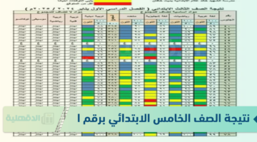 الآن نتيجة الصف الخامس الابتدائي برقم الجلوس eduserv.cairo.gov.eg/results وكيفية توزيع الدرجات ؟