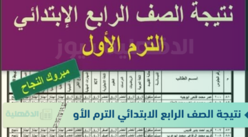 رابط نتيجة الصف الرابع الابتدائي الترم الأول 2025 بالاسم ورقم الجلوس eduserv.cairo.gov.eg