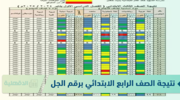الآن نتيجة الصف الرابع الابتدائي برقم الجلوس ورابط الحصول عليها عبر eduserv.cairo.gov