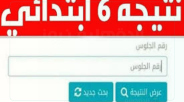 لينك نتيجة الصف السادس الابتدائي برقم الجلوس عبر eduserv.cairo.gov.eg ( جميع المحافظات)