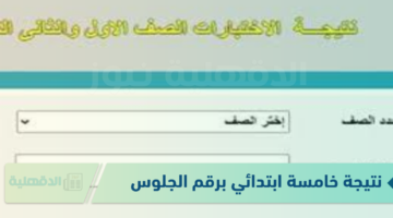 نتيجة خامسة ابتدائي برقم الجلوس ورابط الاستعلام عبر eduserv.cairo.gov.eg