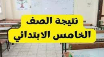 ( بالأسماء) نتيجه الصف الخامس الابتدائي الترم الاول 2025 ورابط الاستعلام عبر moe.gov.eg وتوزيع الدرجات