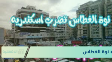 امطار وبرد يعرقل الحياة اليومية.. نوة الغطاس تصل اسكندرية بعد تأخره عن موعدها المعتاد سنوياً