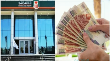 افتح حساب في البنك الأهلي المصري ببطاقة الرقم القومي بسهولة وبدون حد أدنى واستفيد بكل المزايا!