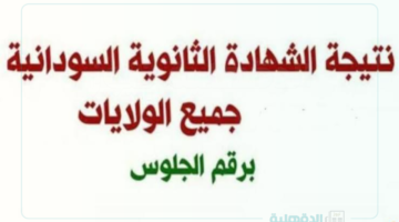 الآن نتيجة الشهادة السودانية.. اعرف نتيجتك بالاسم ورقم الجلوس على mohe.gov.sd