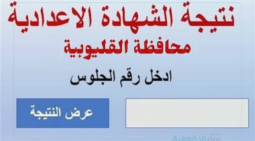 دلوقتي حالًا.. نتيجة 3 إعدادي القليوبية 2025 متاحة برقم الجلوس شوف نتيجتك!