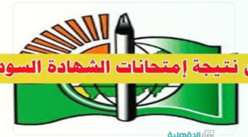 امتحان الشهادة السودانية 2025 "تعرف علي موعد إعلان النتائج وطريقة الإستعلام"
