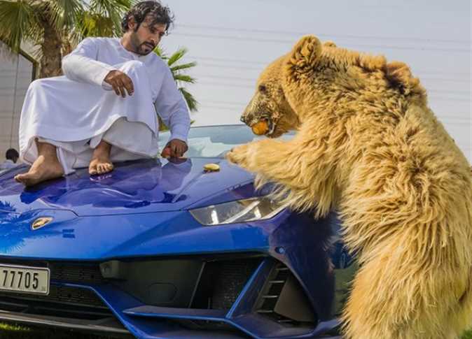 حميد البقيش وشغفه بترويض الحيوانات المفترسة